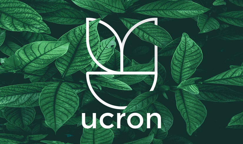 2021年<a href=http://www.ccdol.com/sheji/biaozhi/ target=_blank class=infotextkey>logo</a> <a href=http://www.ccdol.com/ target=_blank class=infotextkey>設計</a>的11個(gè)趨勢